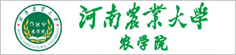 r(nng)I(y)W(xu)r(nng)W(xu)Ժ